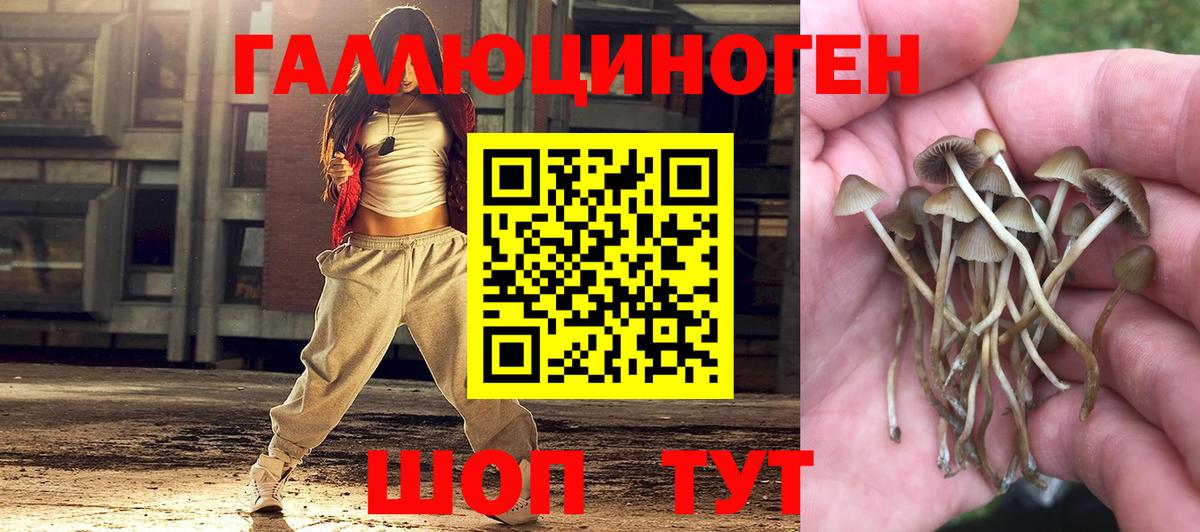 Галлюциногенные грибы MAGIC MUSHROOMS  Вход с VPN  Благовещенск 
